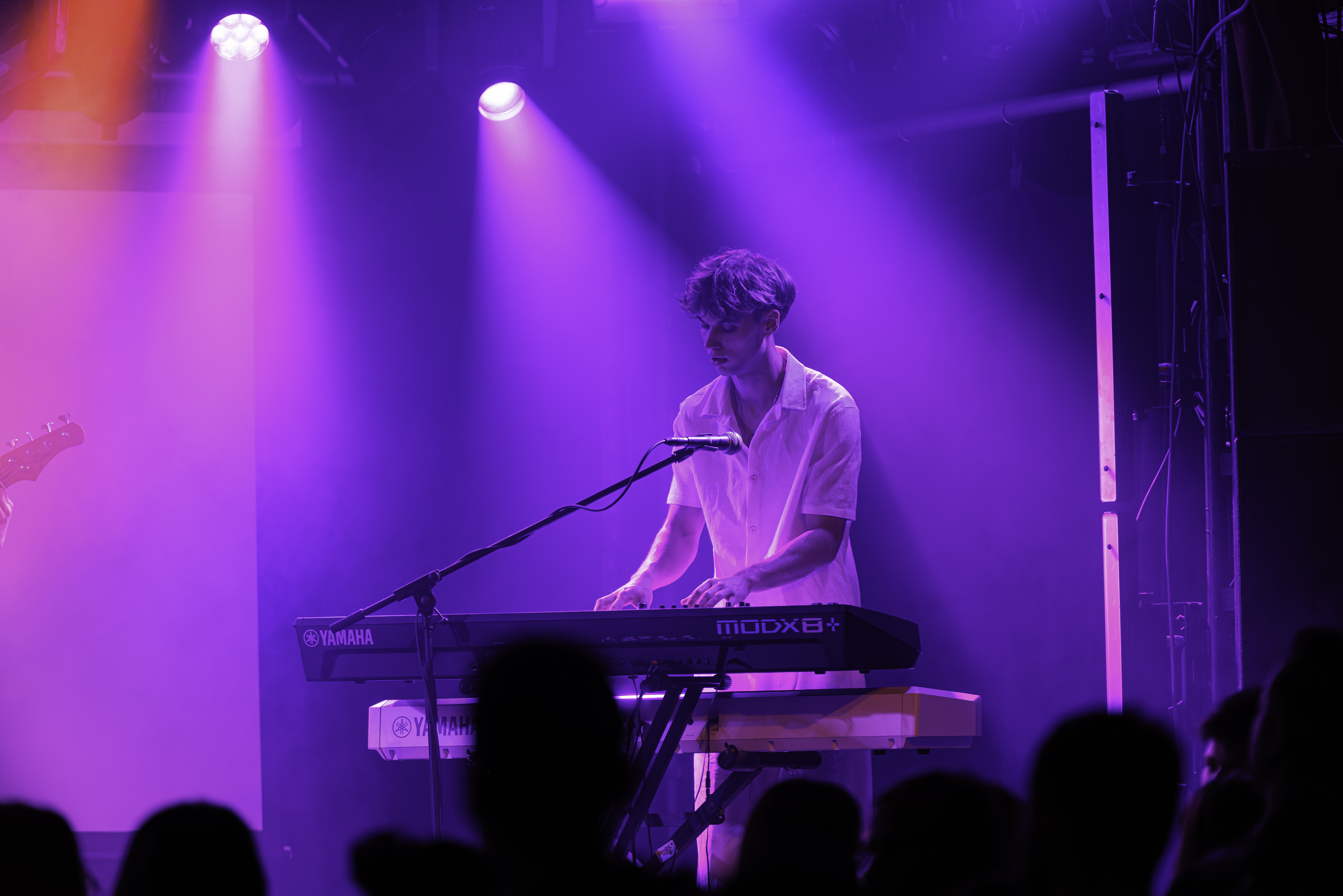 Desirence Keyboarder im Magenta-Licht